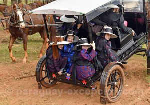 Découverte du mode de vie mennonite