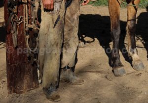 Attiral des gauchos paraguayens