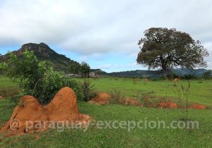 Paysages du Paraguay