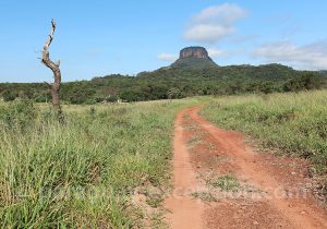 Paysages du Paraguay