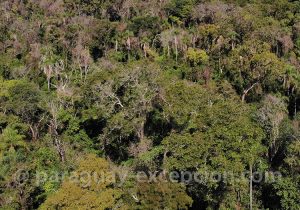Paysages du Paraguay