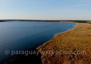 Photographie aviaire à la Laguna Blanca, Paraguay