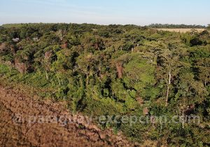 Laguna Blanca, rencontre de 3 ecosystèmes