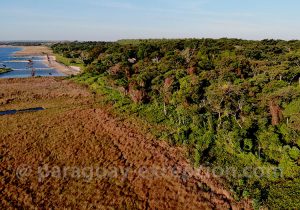 Observation aviaire à la Laguna Blanca, Paraguay