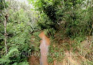 Ruisseau de larmes et de sang, Cerro Cora