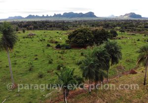 Végétation du parc national Cerro Corá, Paraguay