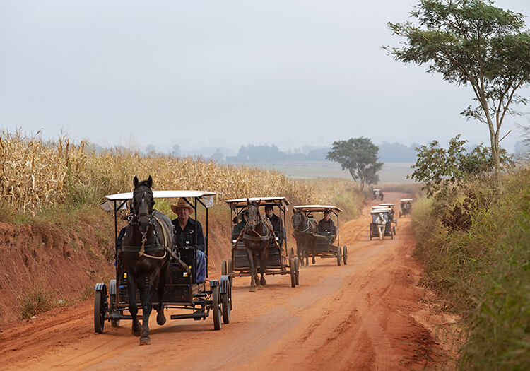 Voyage découverte touristique du Paraguay Mennonites